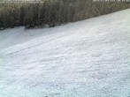 Archiv Foto Webcam Schwarzwald: Kaltenbronn 09:00