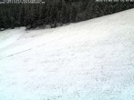 Archiv Foto Webcam Schwarzwald: Kaltenbronn 13:00