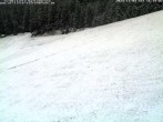 Archiv Foto Webcam Schwarzwald: Kaltenbronn 15:00