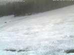 Archived image Webcam Black Forest: Kaltenbronn 11:00