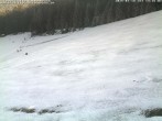 Archived image Webcam Black Forest: Kaltenbronn 13:00