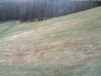Archiv Foto Webcam Schwarzwald: Kaltenbronn 11:00