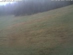 Archiv Foto Webcam Schwarzwald: Kaltenbronn 13:00