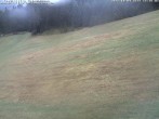 Archiv Foto Webcam Schwarzwald: Kaltenbronn 14:00