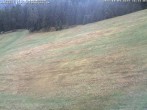 Archiv Foto Webcam Schwarzwald: Kaltenbronn 15:00