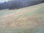 Archiv Foto Webcam Schwarzwald: Kaltenbronn 09:00