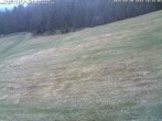 Archiv Foto Webcam Schwarzwald: Kaltenbronn 17:00