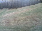 Archiv Foto Webcam Schwarzwald: Kaltenbronn 17:00