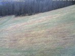 Archiv Foto Webcam Schwarzwald: Kaltenbronn 09:00