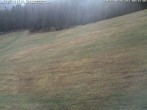 Archiv Foto Webcam Schwarzwald: Kaltenbronn 07:00
