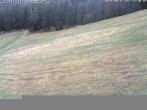 Archiv Foto Webcam Schwarzwald: Kaltenbronn 11:00