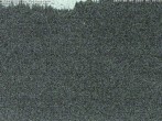 Archiv Foto Webcam Schwarzwald: Lift bei Kaltenbronn 01:00