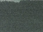 Archiv Foto Webcam Schwarzwald: Lift bei Kaltenbronn 01:00
