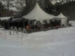 Archived image Webcam St. Moritz - Corvatsch: Hossa Bar 11:00