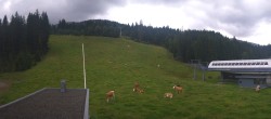 Archiv Foto Webcam Gerlospass Talstation Skigebiet 10:00