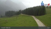 Archiv Foto Webcam Ehrwalder Alm - Feldernalm 12:00