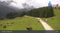 Archiv Foto Webcam Ehrwalder Alm - Feldernalm 12:00
