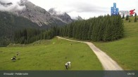 Archiv Foto Webcam Ehrwalder Alm - Feldernalm 08:00
