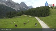 Archiv Foto Webcam Ehrwalder Alm - Feldernalm 14:00