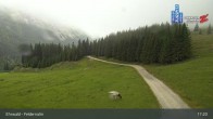 Archiv Foto Webcam Ehrwalder Alm - Feldernalm 16:00