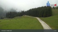 Archiv Foto Webcam Ehrwalder Alm - Feldernalm 10:00