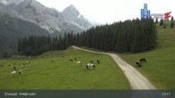 Archiv Foto Webcam Ehrwalder Alm - Feldernalm 12:00