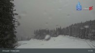 Archiv Foto Webcam Ehrwalder Alm - Feldernalm 10:00