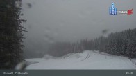 Archived image Webcam Ehrwald Alm - Feldernalm Zugspitze 08:00