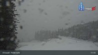 Archived image Webcam Ehrwald Alm - Feldernalm Zugspitze 10:00