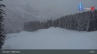 Archiv Foto Webcam Ehrwalder Alm - Feldernalm 14:00