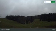 Archiv Foto Webcam Blick von der Skiarena am Hochficht 14:00