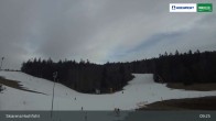 Archiv Foto Webcam Blick von der Skiarena am Hochficht 08:00