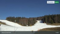 Archiv Foto Webcam Blick von der Skiarena am Hochficht 12:00