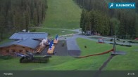 Archived image Webcam Sattelboden (1.880m) - Fendels 20:00