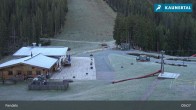 Archived image Webcam Sattelboden (1.880m) - Fendels 08:00