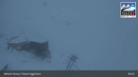 Archiv Foto Webcam Bergstation Fiescheralp-Eggishorn (Wallis) 02:00