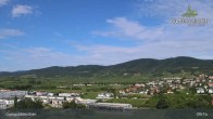 Archiv Foto Webcam Gumpoldskirchen Ortsblick 08:00