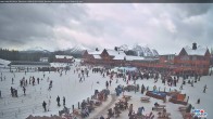 Archiv Foto Webcam Ausblick Kokanee Kabin 11:00