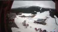 Archiv Foto Webcam Lake Louise: Talstation 08:00