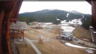 Archived image Webcam Lake Louise: Base Area 08:00