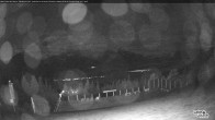 Archived image Webcam Whitehorn Lodge (2.058m) 00:00