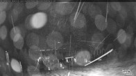 Archived image Webcam Whitehorn Lodge (2.058m) 00:00
