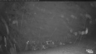 Archiv Foto Webcam Whitehorn Lodge (2.058m) 02:00