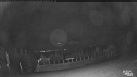 Archiv Foto Webcam Whitehorn Lodge (2.058m) 02:00
