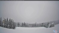 Archiv Foto Webcam Whitehorn Lodge (2.058m) 07:00
