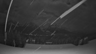 Archiv Foto Webcam Whitehorn Lodge (2.058m) 04:00