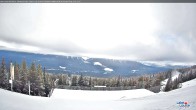 Archiv Foto Webcam Whitehorn Lodge (2.058m) 11:00