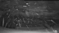 Archived image Webcam Whitehorn Lodge (2.058m) 01:00