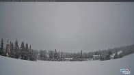 Archiv Foto Webcam Whitehorn Lodge (2.058m) 13:00