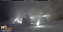 Archived image Webcam View of the Mecki&#39;s Alm mountain hut 05:00